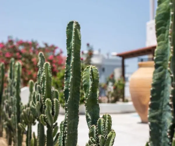 Nόka 아파트호텔 팔리라키