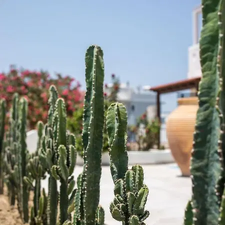 Nόka Aparthotel Faliraki